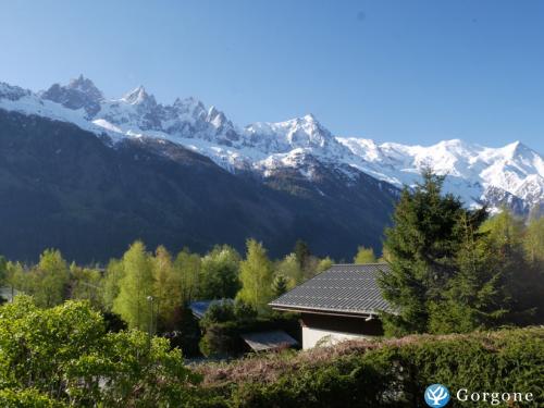 Photo n°2 de :Appartement rnov dans un chalet vue exceptionnelle