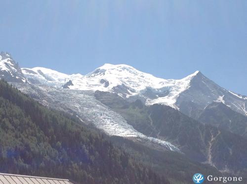 Photo n°1 de :Chamonix face au Mont Blanc 2 pices max 5 pers.