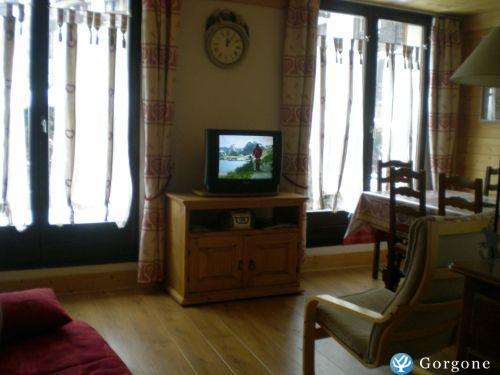 Photo n°5 de :Location duplex avec Jardin Chamonix Vue Mont-Blanc 
